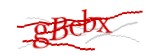 Enter the character string shown in the picture
